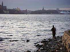 Saltsjönen izokinaren arrantza Södra Djurgårdenetik, atzean Södermalm.