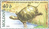 Европейская болотная черепаха на молдавской марке