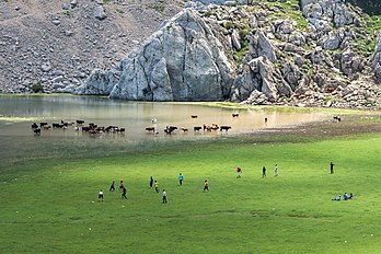 Partie de football en juin 2015 au bord du lac Agoulmime à Tikjda, situé à 1 700 m d'altitude, dans la wilaya de Bouira (Algérie). (définition réelle 5 435 × 3 623)