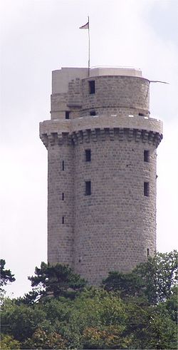 The tower of Montlhry