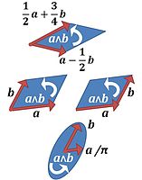 Various identically oriented and equal area plane segments corresponding to the same bivector a'"`UNIQ--postMath-00000001-QINU`"'b