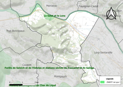 Carte de la ZNIEFF de type 1 sur la commune.