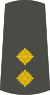 10-Serbian Army-LT.svg