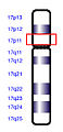 Pisipilt versioonist seisuga 6. november 2011, kell 15:41