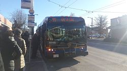 99 B-Line B8140.jpg