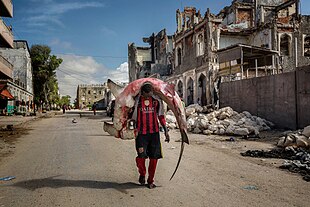 رجلٌ يحمل قرشًا ضخمًا من جنس أبي مطرقة عبر شوارع مقديشو في الصومال