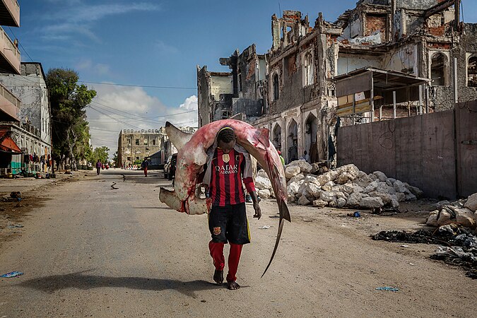 一名男子在索马里摩加迪沙的街道上扛着一条巨大的双髻鲨。