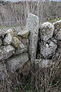 Menhir 1 und 2 von Busola