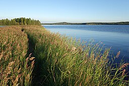 Burträsket sett från Smedjeholmen, del av en ås som går genom sjön.