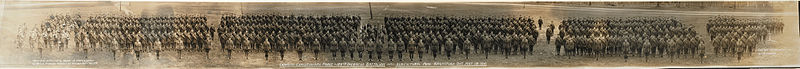 Canadian Expeditionary Force, 125th Overseas Battalion, Agricultural Park, Brantford, Ontario, May 18, 1916. No. 501 (HS85-10-32549)