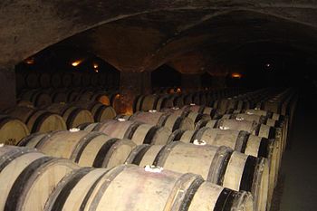 Wine cellar in Burgundy