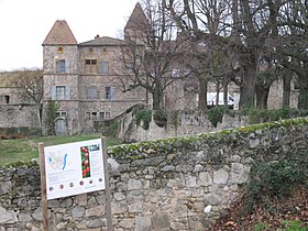 Image illustrative de l’article Château de La Gallée