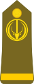 Chad-Army-OF-1a.svg