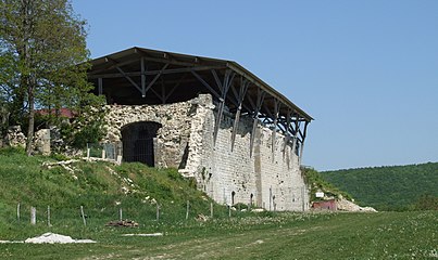 Abbaye Saint-Vivant de Vergy (IXe siècle)