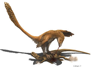 23/10: Representació d'un Deinonychus antirrhopus, un dinosaure carnívor, amb una presa d'un Hipsilofodont herbívor.