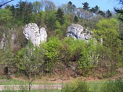 Dzika Baszta i Cygańska Turnia