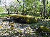 Dolmen de Ginouillac