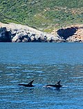Pienoiskuva sivulle Alónnisoksen ja Pohjoisten Sporadien merikansallispuisto