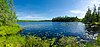 DuPage Lake Peatlands.jpg