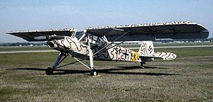 Fieseler Fi 156 C-1 (5F+YK), 2.(H)/Auf.Kl.Gr.14