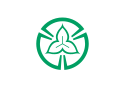 Tokorozawa – Bandiera