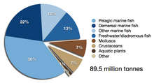 Global wild fish capture in million tonnes, 2010, as reported by the FAO Global wild fish capture 2010.png