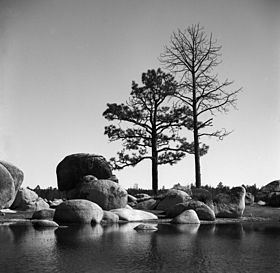 Hansons lagoon - laguna hanson.jpg