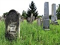 Stará část židovského hřbitova v Holešově