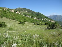 Skalnaté kopce s mozaikou suchých trávníků, lesíků a roztroušených křovin