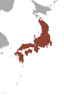 Японский барсук area.png