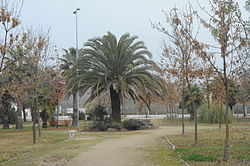 Riolobos Botanical Garden, (Cáceres)