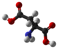 Ball and stick model of the aspartic acid molecule