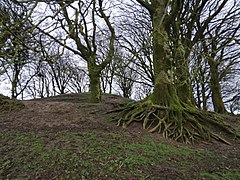 Northern embankments of the motte