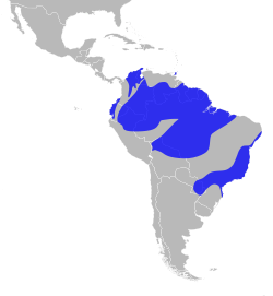 Distribución geográfica del saltarín barbiblanco.