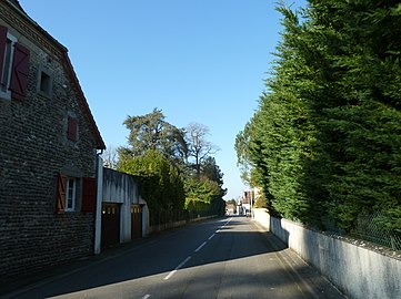 Rues du village.