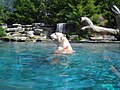 15 Un ours blanc au zoo de La Flèche.