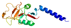 PDB прорисовано на основе 1hup.