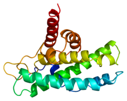 Протеин RB1 PDB 1ad6.png