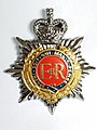 RNZCT Badge 1979-1996