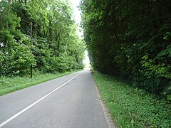 Actuel boulevard Charles-de-Gaulle, entre les stations « Trois-Moulins » et « Rubelles - Voisenon »