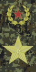 Russia-Army-OF-9.svg