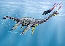 Seeleyosaurus with a tail fin SeeleysaurusDB.jpg