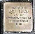 Fliess, Ernst