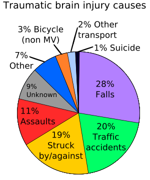 pie chart of causes of traumatic brain injury