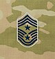 USSF OCP E9c temp.jpg