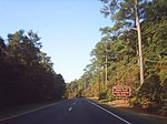 Two lanes of a four-lane divided highway in a wooded area with a brown sign on the right side of the road reading Pocomoke River State Park Shad Landing next right