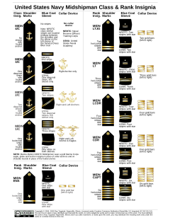 US Midshipman Insignia.svg