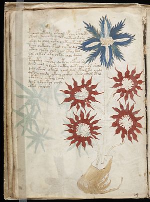 A page from the mysterious Voynich manuscript,...
