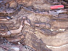 3.4 billion year-old stromatolites from the Warrawoona Group, Western Australia. While the origin of Precambrian stromatolites is a heavily debated topic in geobiology, stromatolites from Warrawoona are hypothesized to have been formed by ancient communities of microbes. Warawoona stromatolites 3.4 Ga jgrotzinger.jpg
