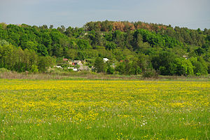 Яремина гора